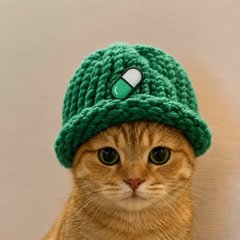 CatWifHat meme 3