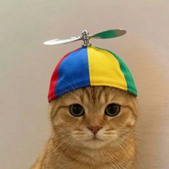 CatWifHat meme 6
