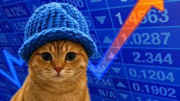 CatWifHat meme 1